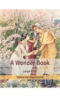 A Wonder Book: Large Print