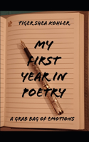 My First Year In Poetry