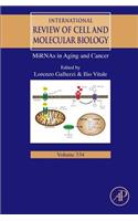 MiRNAs in Aging and Cancer