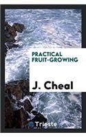 Practical Fruit-Growing