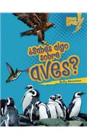 ¿Sabes algo sobre aves? (Do You Know about Birds?)