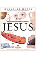 The Illustrated Life of Jesus