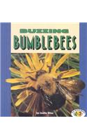 Buzzing Bumblebees
