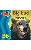 Big Bad Bears