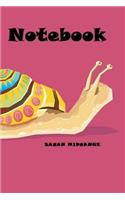 Notebook (slow)