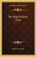 The Wings Of Insects (1918): (English)