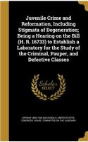 Juvenile Crime and Reformation, Including Stigmata of Degeneration; Being a Hearing on the Bill (H. R. 16733) to Establish a Laboratory for the Study of the Criminal, Pauper, and Defective Classes