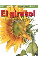 Girasol: Por Dentro Y Por Fuera (Sunflower: Inside and Out)