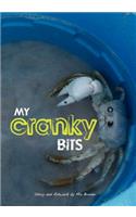 My Cranky Bits