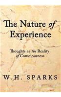 The Nature of Experience