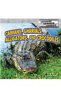 Caimans, Gharials, Alligators, and Crocodiles