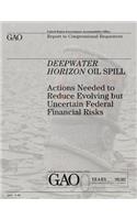 Deepwater Horizon Oil Spill