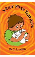 Your First Rabbit