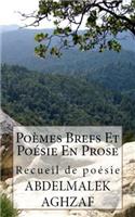 Poèmes Brefs Et Poésie En Prose