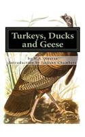 Turkeys, Ducks and Geese