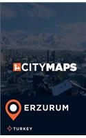City Maps Erzurum Turkey