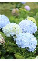 Blue and White Hydrangeas Spring Flower Garden Journal