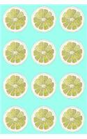 Journal: Lemonade