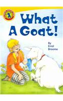 What a Goat!
