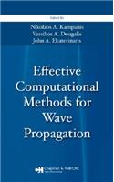 Effective Computational Methods for Wave Propagation