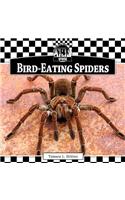 Bird-Eating Spiders