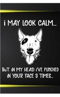 I May Look Calm But In My Head I've Punched In Your Face 3 Times