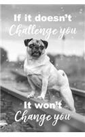 If It Doesn't Challenge You It Won't Change You