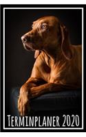 Terminplaner 2020