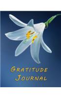 Gratitude Journal
