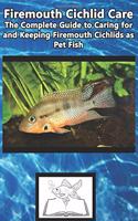Firemouth Cichlid Care