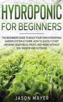 Hydroponics for Beginners