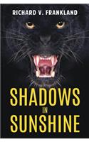 Shadows in Sunshine