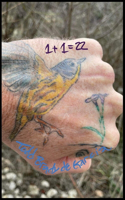 1+1= 22