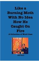Like a Burning Moth Without a Clue as to How He Caught on Fire