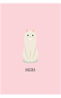 Angora Cat