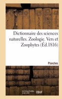 Dictionnaire Des Sciences Naturelles. Planches. Zoologie. Vers Et Zoophytes