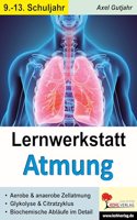 Lernwerkstatt Atmung / Band 2 (Klasse 9-13): Zellatmung, Citratzyklus u.v.m.