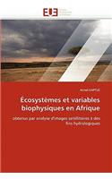 �cosyst�mes Et Variables Biophysiques En Afrique: (Omn.Univ.Europ.)