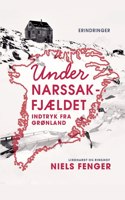 Under Narssak-fjældet. Indtryk fra Grønland