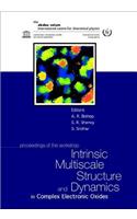 Intrinsic Multiscale Structure and Dynamics in Complex Electronic Oxides, Proceedings of the Workshop
