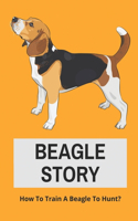 Beagle Story: How To Train A Beagle To Hunt?: Training A Beagle