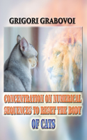 Concentration on Numerical Sequences to Reset the Body of Cats