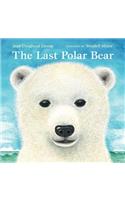 Last Polar Bear