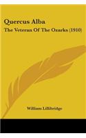 Quercus Alba: The Veteran Of The Ozarks (1910)(English)