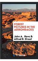 Forest Pictures in the Adirondacks