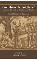 Bartolomé de Las Casas and the Defense of Amerindian Rights