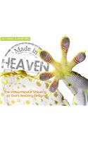 Made in Heaven: Man's Indiscriminate Stealing of God's Amazing Design