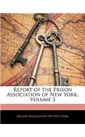 Report of the Prison Association of New York, Volume 3