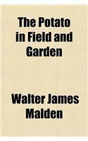 The Potato in Field and Garden