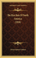 Rice Rats Of North America (1918)